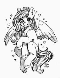 Size: 3045x3988 | Tagged: safe, artist:sugar peach, artist:sunshine, oc, oc only, oc:cocoa cloud, pegasus, pony, blushing, chest fluff, commission, heart, high res, long mane, monochrome, simple background, smiling, traditional art, wings