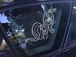 Size: 3264x2448 | Tagged: safe, fluttershy, pony, g4, car, female, high res, photo, reflection, solo, tree, window