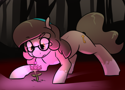Size: 872x633 | Tagged: safe, artist:whatsapokemon, oc, oc only, oc:wishful thought, earth pony, pony, dark, female, flower, forest, glasses, glowing, magic glow, mare, solo