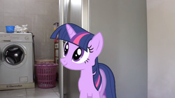 Size: 1278x716 | Tagged: safe, twilight sparkle, pony, unicorn, g4, female, food for twilight, irl, mare, photo, ponies in real life, solo, washing machine