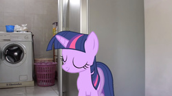 Size: 1278x716 | Tagged: safe, twilight sparkle, pony, unicorn, g4, eyes closed, female, food for twilight, irl, mare, photo, ponies in real life, solo, washing machine