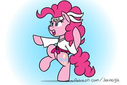 Size: 1024x683 | Tagged: safe, artist:jen-neigh, pinkie pie, earth pony, pony, g4, bipedal, clothes, female, fighting stance, gi, headband, karate, martial arts, open mouth, pink belt, ponk, robe, solo