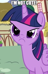 Size: 500x766 | Tagged: safe, edit, edited screencap, editor:twi clown, screencap, twilight sparkle, alicorn, pony, g4, pinkie pride, blatant lies, caption, cropped, cute, denial, female, frown, i'm not cute, image macro, inverted mouth, mare, solo, text, twiabetes, twilight sparkle (alicorn)
