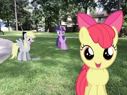 Size: 4032x3024 | Tagged: artist needed, source needed, safe, apple bloom, derpy hooves, twilight sparkle, alicorn, earth pony, pegasus, pony, g4, close-up, confused, cute, irl, outdoors, park, photo, ponies in real life, smiling at you, twilight sparkle (alicorn)