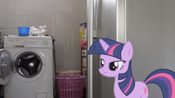 Size: 1276x717 | Tagged: safe, twilight sparkle, pony, unicorn, g4, female, food for twilight, frown, irl, mare, photo, ponies in real life, solo, washing machine