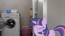 Size: 1276x717 | Tagged: safe, twilight sparkle, pony, unicorn, g4, eyes closed, facehoof, female, food for twilight, irl, mare, photo, ponies in real life, solo, washing machine
