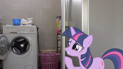 Size: 1276x717 | Tagged: safe, twilight sparkle, pony, unicorn, g4, female, food for twilight, irl, mare, photo, ponies in real life, solo, washing machine, watching