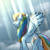 Size: 1000x1000 | Tagged: safe, artist:not-ordinary-pony, derpibooru exclusive, rainbow dash, pegasus, pony, g4, crepuscular rays, element of loyalty, female, mare, solo, spread wings, wings