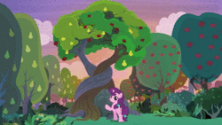 Size: 1920x1080 | Tagged: safe, screencap, big macintosh, sugar belle, earth pony, pony, unicorn, g4, the big mac question, animated, apple, apple tree, bush, female, freckles, grass, holding hooves, hug, intertwined trees, looking at each other, male, mare, pear tree, rock, smiling, sound, stallion, talking, tree, webm