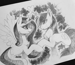 Size: 2048x1758 | Tagged: safe, artist:share dast, princess cadance, shining armor, alicorn, pony, unicorn, g4, black and white, female, grayscale, heart, horn, horn ring, horns are touching, inktober, inktober 2019, male, monochrome, ship:shiningcadance, shipping, straight, traditional art