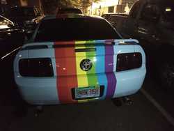 Size: 1440x1080 | Tagged: safe, rainbow dash, g4, car, community related, florida, florida man, ford, ford mustang, irl, itasha, license plate, photo, wat