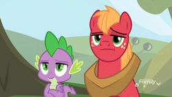 Size: 1920x1080 | Tagged: safe, screencap, big macintosh, spike, dragon, earth pony, pony, g4, the big mac question, big macintosh is not amused, crossed arms, discovery family logo, duo, furrowed brow, male, raised eyebrow, spike is not amused, stallion, unamused, unimpressed, winged spike, wings
