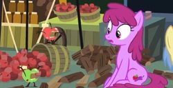 Size: 389x199 | Tagged: safe, screencap, berry punch, berryshine, goldengrape, sir colton vines iii, earth pony, living apple, pony, g4, the big mac question, apple, background pony, cropped, female, food, mare, offscreen character, solo focus