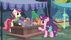 Size: 1920x1080 | Tagged: safe, screencap, roseluck, sugar belle, earth pony, pony, unicorn, g4, the big mac question, discovery family logo, female, flower, flower shop, food, mare, pear, ponyville, saddle bag, vendor stall