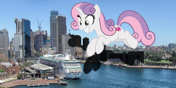 Size: 2500x1250 | Tagged: safe, artist:sebaslovetwilight, artist:theotterpony, sweetie belle, pony, g4, australia, city, cruise ship, giant ponies in real life, giant pony, giant unicorn, highrise ponies, irl, macro, older, older sweetie belle, photo, ponies in real life, shadow, story in the source, story included, sydney