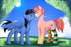 Size: 2560x1707 | Tagged: oc name needed, safe, artist:sinigam41, artist:starshade, oc, oc only, oc:jettrax, earth pony, pegasus, pony, clothes, cute, full body, gay, male, socks, stallion, stallion on stallion, striped socks