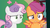 Size: 1920x1080 | Tagged: safe, screencap, scootaloo, sweetie belle, pegasus, pony, unicorn, g4, the big mac question, confused, duo, female, filly, furrowed brow, grimace, gritted teeth, raised eyebrow, reaction image, spread wings, varying degrees of do not want, what has been seen, wings
