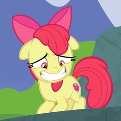 Size: 600x600 | Tagged: safe, screencap, apple bloom, earth pony, pony, g4, the big mac question, bow, cropped, cutie mark, embarrassed, female, filly, floppy ears, foal, grin, hair bow, sheepish grin, smiling, solo, sweat