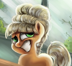 Size: 1100x1000 | Tagged: safe, artist:tijopi, applejack, earth pony, pony, g4, the cutie mark chronicles, alternate hairstyle, blank flank, fancy, female, filly, filly applejack, forced smile, scene interpretation, smiling, solo, younger