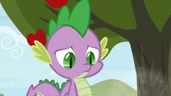 Size: 1920x1080 | Tagged: safe, screencap, big macintosh, spike, dragon, earth pony, pony, g4, the big mac question, animated, eeyup, male, out of context, sound, webm, winged spike, wings