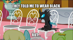 Size: 888x499 | Tagged: safe, edit, edited screencap, screencap, daisy, flower wishes, kevin, sassaflash, changeling, earth pony, pegasus, pony, g4, slice of life (episode), caption, discovery family logo, female, funny, image macro, impact font, male, mare, meme, solo focus, text