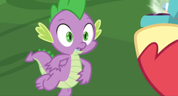 Size: 1600x864 | Tagged: safe, screencap, big macintosh, spike, dragon, earth pony, pony, g4, the big mac question, claws, greed spike, greedy, hooves, male, marriage ring, ring, salivating, shrunken pupils, spread toes, stallion, toes, winged spike, wings