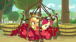 Size: 1280x720 | Tagged: safe, screencap, apple bloom, applejack, earth pony, pony, g4, going to seed, apple, apple tree, applejack is not amused, applejack's hat, bucket, cowboy hat, duo, embarrassed, female, food, hat, how embarrassing, looking at each other, mare, predicament, raised eyebrow, siblings, sisters, stetson, trap (device), tree, unamused