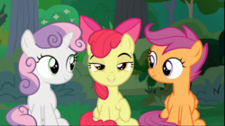 Size: 1671x939 | Tagged: safe, screencap, apple bloom, scootaloo, sweetie belle, earth pony, pegasus, pony, unicorn, g4, the big mac question, bow, cropped, cutie mark crusaders, female, filly, hair bow, lidded eyes, looking at each other, looking at you, raised hoof, sitting, smiling, smirk, smug, trio