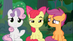 Size: 1671x939 | Tagged: safe, screencap, apple bloom, scootaloo, sweetie belle, earth pony, pegasus, pony, unicorn, g4, the big mac question, bow, cropped, cutie mark crusaders, female, filly, hair bow, lidded eyes, looking at you, raised hoof, sitting, smiling, smirk, smug, trio