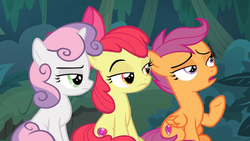 Size: 1600x900 | Tagged: safe, screencap, apple bloom, scootaloo, sweetie belle, earth pony, pony, g4, the big mac question, cutie mark crusaders, raised eyebrow