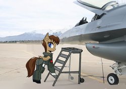 Size: 2456x1740 | Tagged: safe, artist:ivyredmond, oc, oc:lunette, bat pony, pony, aircraft, f-16 fighting falcon, irl, photo, ponies in real life, solo