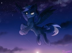 Size: 1024x762 | Tagged: safe, artist:tingsan, oc, oc only, pegasus, pony, night, slit pupils, solo, stars