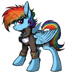 Size: 3768x4096 | Tagged: safe, artist:tatykin, rainbow dash, pegasus, pony, g4, clothes, ear fluff, female, jacket, simple background, solo, white background