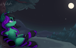 Size: 4754x3043 | Tagged: safe, artist:avery-valentine, oc, oc only, oc:mintybatty, pony, chest fluff, clothes, comet, ear fluff, fangs, full moon, looking away, looking up, lying down, moon, night, on back, outdoors, socks, solo, striped socks, tree, under the tree
