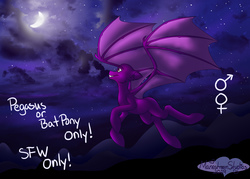 Size: 3500x2500 | Tagged: safe, artist:manestreamstudios, oc, oc only, alicorn, bat pony, pegasus, pony, bat wings, cloud, commission, female, flying, high res, hooves, male, moon, night, sky, smiling, solo, stars, wings, your character here