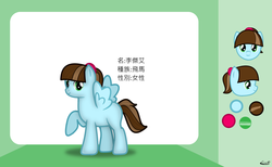 Size: 1465x900 | Tagged: safe, artist:99999999000, oc, oc only, oc:li jie ai, pegasus, pony, chinese, female, filly, reference sheet, solo, younger