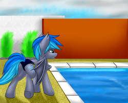 Size: 3488x2818 | Tagged: safe, artist:snowstormbat, oc, oc only, oc:midnight snowstorm, bat pony, pony, bush, clothes, high res, male, solo, speedo, swimming pool, swimsuit, water