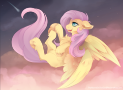 Size: 1200x880 | Tagged: safe, artist:thenornonthego, fluttershy, pegasus, pony, g4, chest fluff, digital art, ear fluff, female, flying, mare, shooting star, smiling, solo