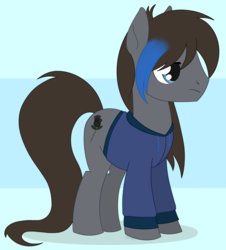 Size: 1672x1849 | Tagged: safe, artist:dyonys, oc, oc:shadow rose, earth pony, pony, clothes, hoodie, male, sad, show accurate, simple background, stallion, standing