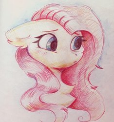Size: 529x565 | Tagged: safe, artist:raily, fluttershy, pegasus, pony, g4, bust, female, solo, traditional art