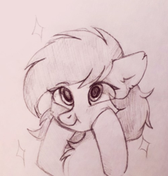 Size: 500x523 | Tagged: safe, artist:raily, pony, bust, sketch, solo