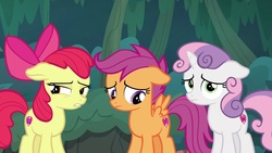 Size: 1920x1080 | Tagged: safe, screencap, apple bloom, scootaloo, sweetie belle, earth pony, pony, g4, the big mac question, cutie mark crusaders, floppy ears