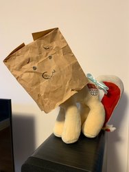 Size: 675x900 | Tagged: safe, oc, oc:colonia, oc:paper bag, bow, i think that's not the paper bag pony, irl, looking at you, paper bag, photo, plushie, tail bow