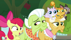 Size: 1920x1080 | Tagged: safe, screencap, apple bloom, applejack, derp cat, goldie delicious, cat, earth pony, pony, g4, going to seed, amused, apple, apple tree, bow, clothes, elderly, female, filly, floppy ears, foal, freckles, grandmother and grandchild, grandmother and granddaughter, granny smith's shawl, hair bow, hair bun, open mouth, pet, pointing, raised eyebrow, raised hoof, talking, tree, trio focus, wrinkles