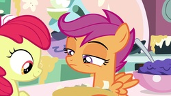 Size: 1920x1080 | Tagged: safe, screencap, apple bloom, scootaloo, earth pony, pegasus, pony, g4, the big mac question, batter, bowl, food