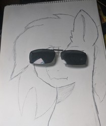 Size: 2305x2738 | Tagged: safe, artist:pinkamenace, oc, oc only, oc:golden lotus, pony, bust, high res, solo, sunglasses, traditional art