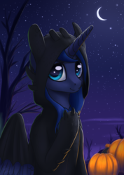 Size: 2894x4093 | Tagged: safe, artist:koshakevich, princess luna, alicorn, pony, g4, clothes, costume, crescent moon, cute, dreamworks, female, halloween, holiday, how to train your dragon, kigurumi, lunabetes, mare, moon, night, pumpkin, sky, solo, stars, toothless the dragon