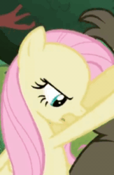 Size: 287x440 | Tagged: safe, edit, screencap, fluttershy, harry, bear, pegasus, pony, g4, lesson zero, season 2, angry, animated, context is for the weak, cropped, female, invisible stallion, out of context