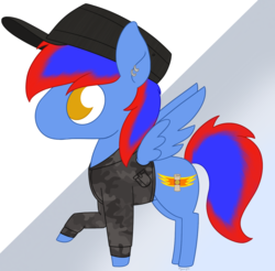 Size: 1323x1301 | Tagged: safe, artist:dyonys, oc, pegasus, pony, cap, chibi, clothes, ear piercing, earring, hat, jewelry, piercing, ych result
