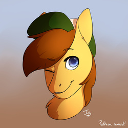 Size: 2000x2000 | Tagged: safe, artist:brownie97, oc, oc only, pony, bust, high res, solo